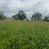 05 ACRES OF LAND FOR SALE AT NAMAIBA MUKONO ALONG KATOSI ROAD